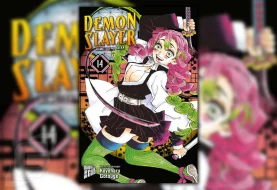 Action-Manga Demon Slayer Band 14 – Review