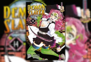 Action-Manga Demon Slayer Band 14 – Review