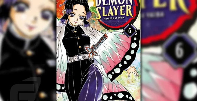 Action-Manga Demon Slayer Band 6 - Review