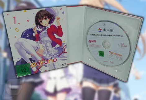 Anime-Review Saekano Volume 1