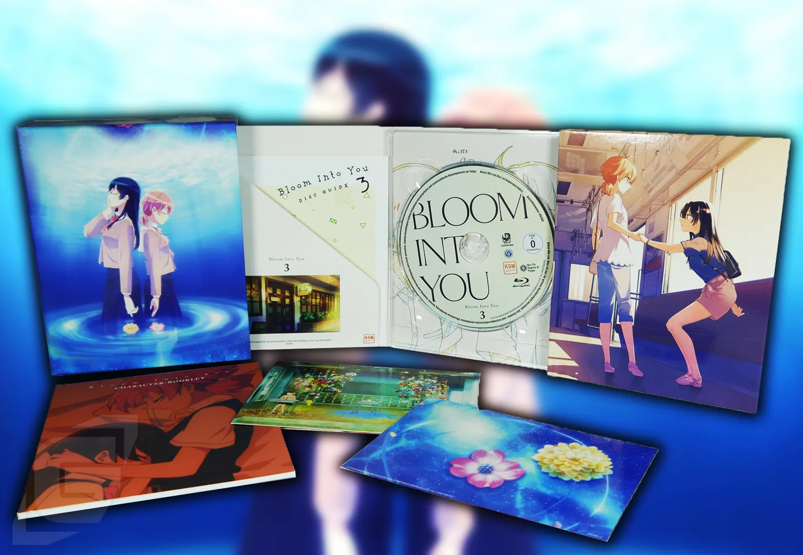 Review zum Yuri-Anime Bloom Into You Vol. 3